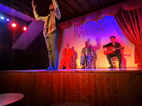 Palacio Flamenco Granada-格拉纳达必去景点