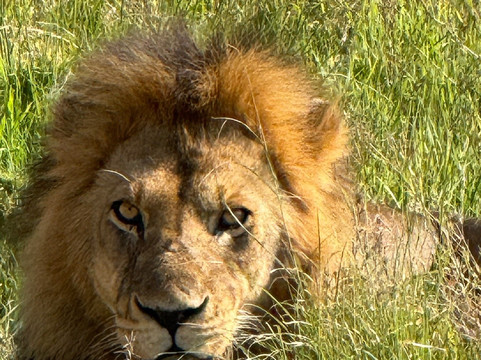 Marafiki Safaris & Cultural Tours-巴加莫约必去景点