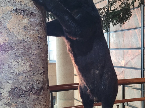 Tochigi Prefectural Museum-宇都宫市必去景点