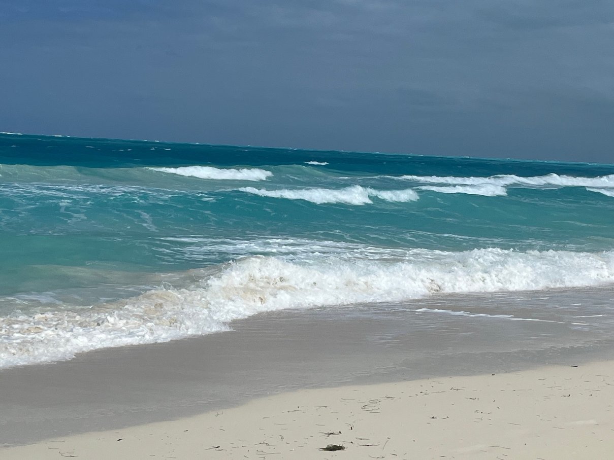 Melia Las Dunas-官方