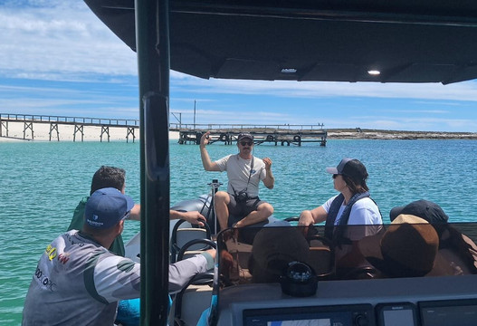 Cape Coast Expeditions-Yzerfontein必去景点