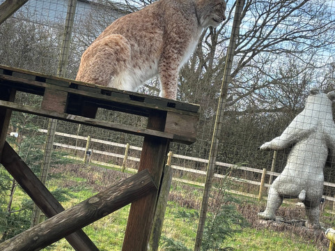 Hoo Zoo And Dinosaur World-特尔福德必去景点