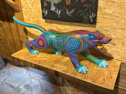 Experience Mex-ECO Tours-Melaque必去景点