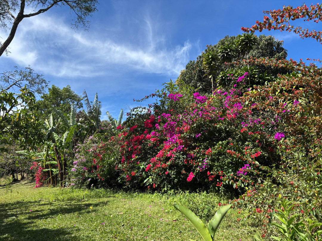 特拉萨旅馆民宿主图