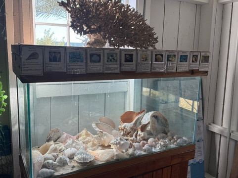 Pigeon Key-马拉松必去景点