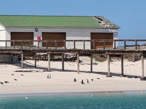 Cape Coast Expeditions-Yzerfontein必去景点