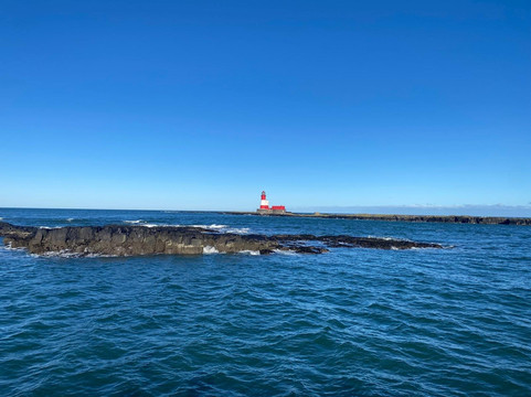 Billy Shiel's Boat Trips-Seahouses必去景点