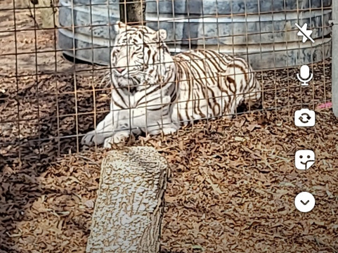 Animal Park NC-伯灵顿必去景点