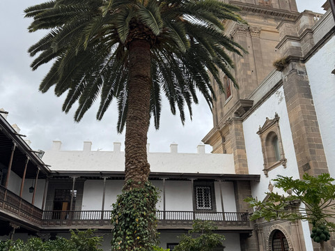 Basílica De Santa Ana-大加那利岛拉斯帕尔马斯必去景点