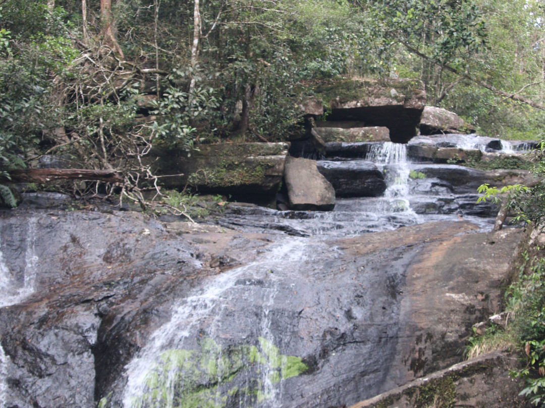Sinharaja Rainforest Kurulugala Entrance-Viharahena必去景点