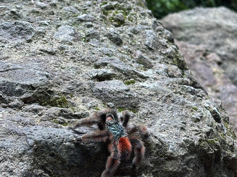 Cascade Couleuvre-Le Precheur必去景点
