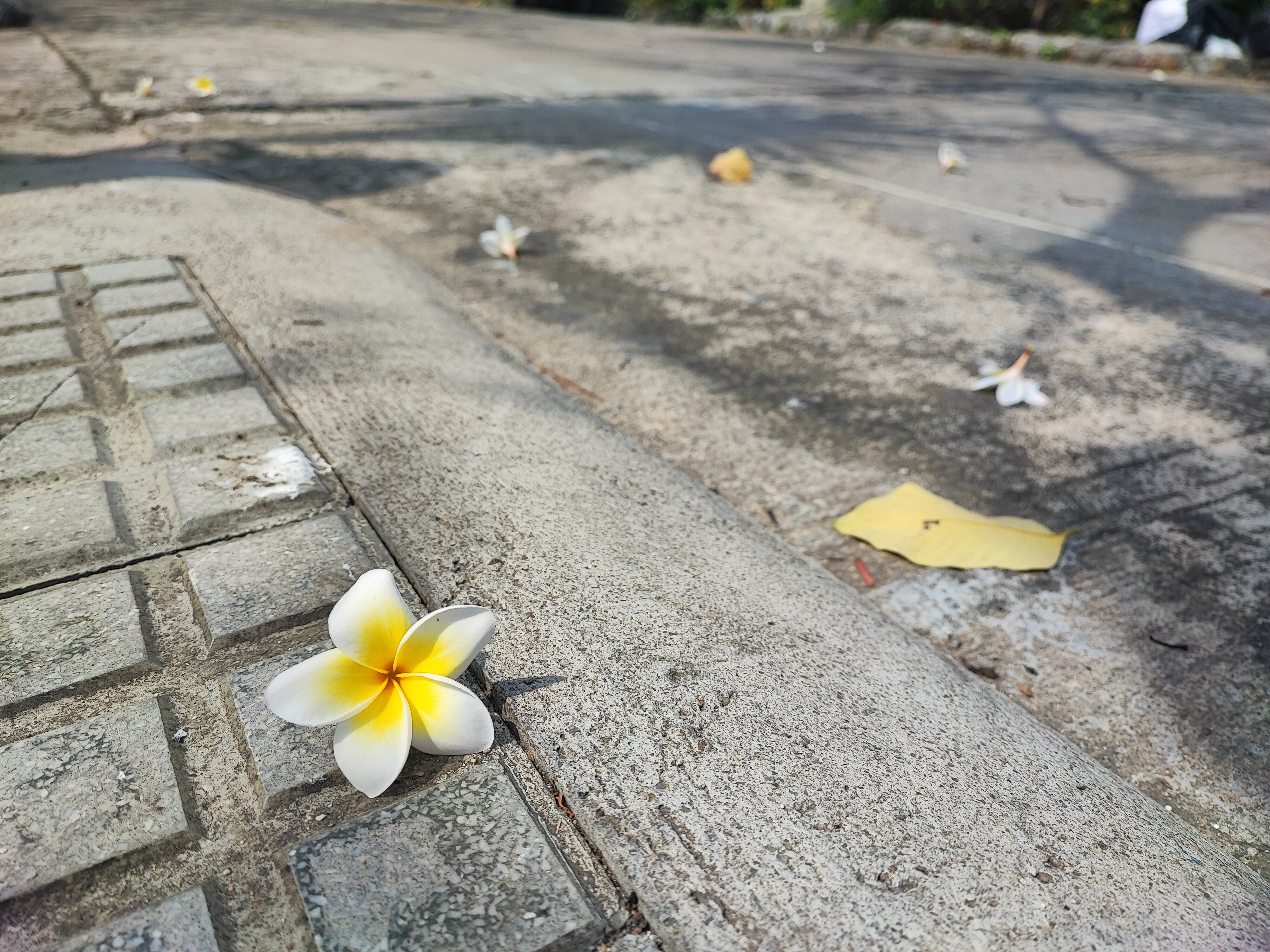 西昌岛水一方酒店-浴室