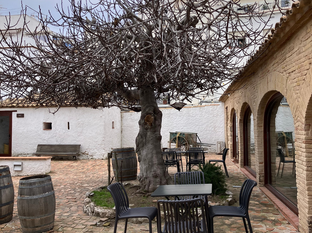 Centre d'Interpretacio De La Malvasia-锡切斯必去景点