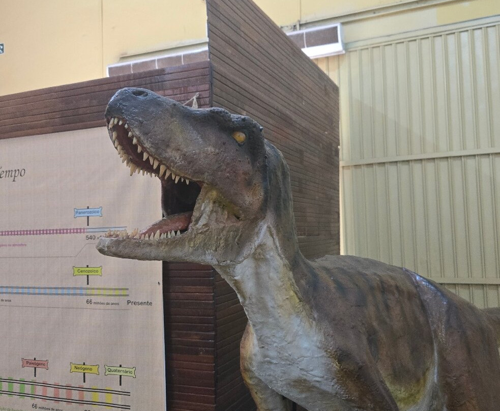 Museu De Paleontologia Pedro Candolo-Uchoa必去景点