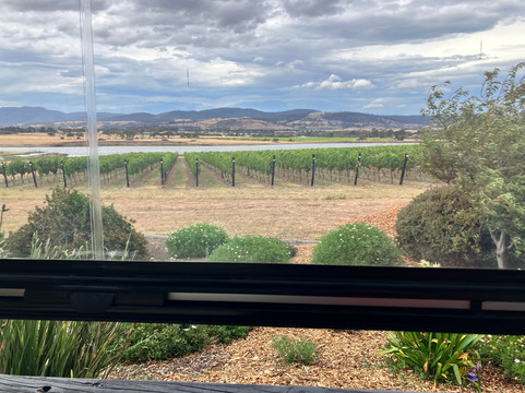 Nocton Vineyard-Richmond必去景点