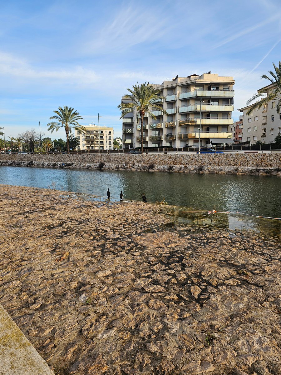 游乐场酒店-官方