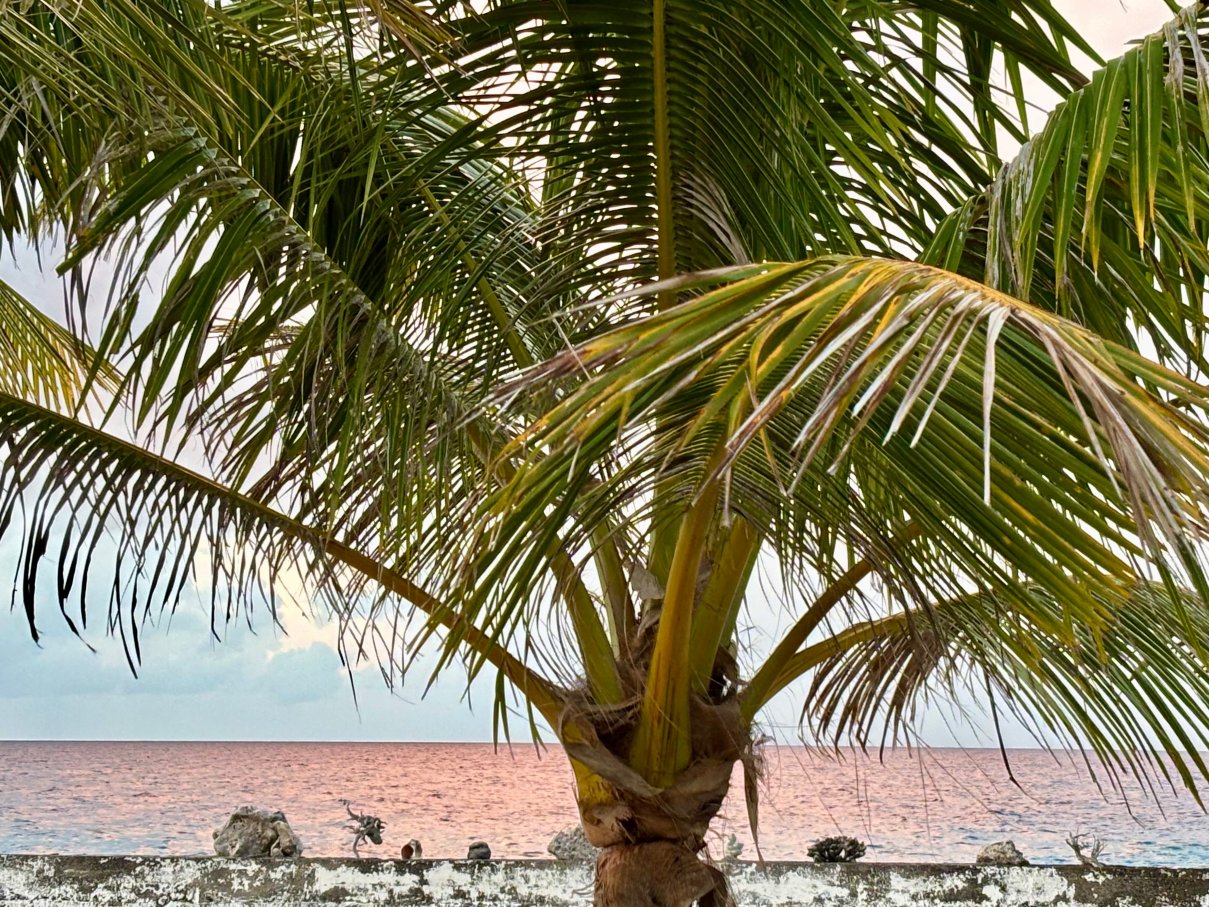 Pension Cecile-官方