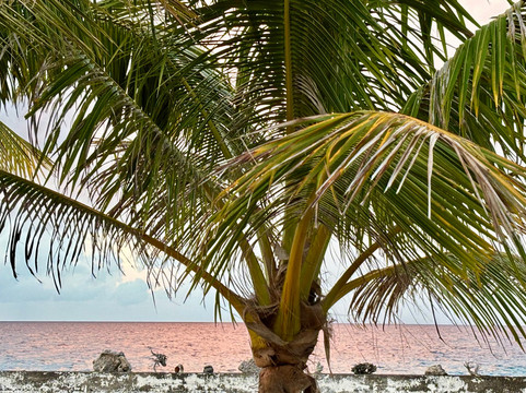 Pension Cecile主图