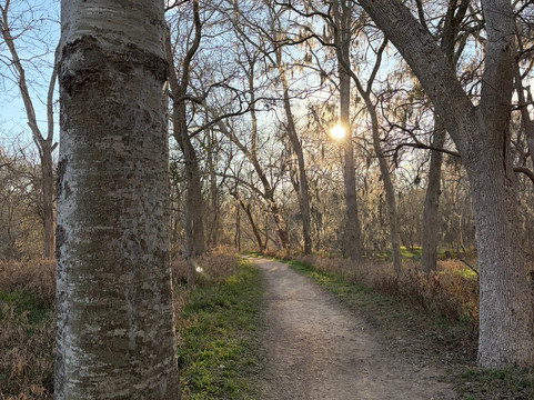 Palmetto State Park-Gonzales必去景点