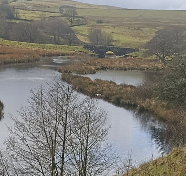 Hannah's Meadow-Barnard Castle必去景点