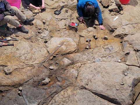 Stori Brymbo-雷克瑟姆必去景点