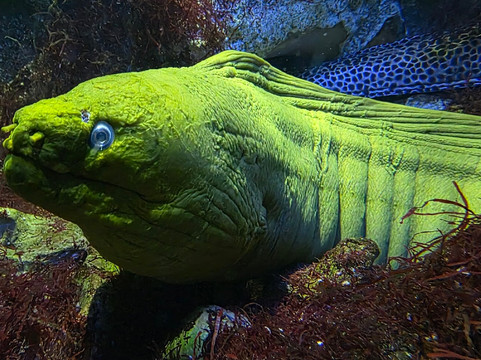 Aquarium du Limousin-利摩日必去景点