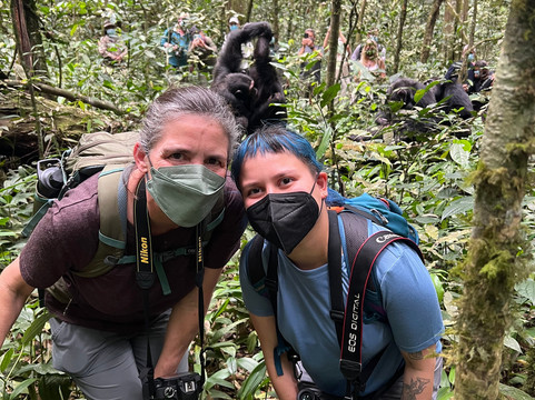 African Gorilla Expeditions-坎帕拉必去景点