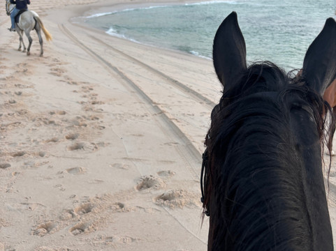 Ranch Des Dunes-达赫拉必去景点