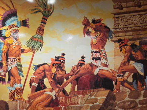 Museu de Arqueologia Ciro Flamarion Cardoso-Ponta Grossa必去景点