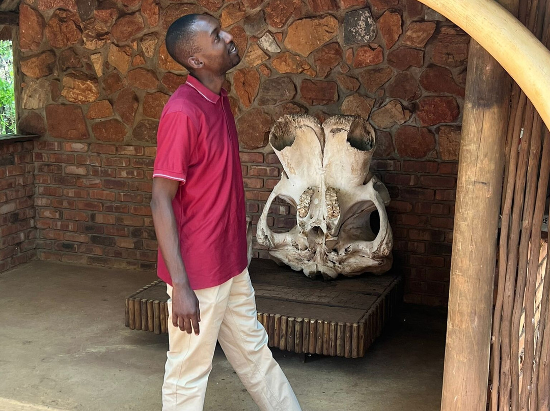 Elephant Sanctuary Hartbeesport Dam-哈特比斯普特必去景点