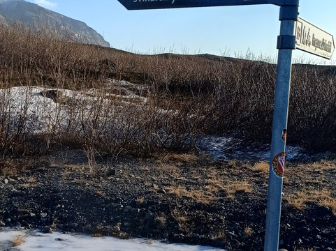 Svinafellsjokull Glacier-Svinafell必去景点