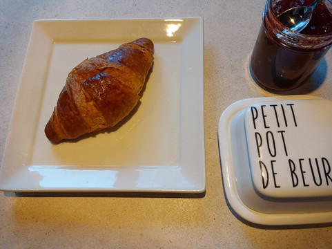 拿破仑之家主图