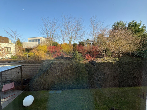 Hotel Neues Tor主图