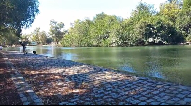 Lago de Regatas-布宜诺斯艾利斯必去景点