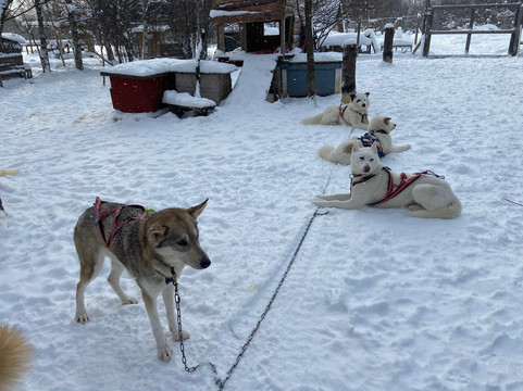 O'Nordic-Posio必去景点