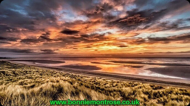 Seafront Splash-Montrose必去景点