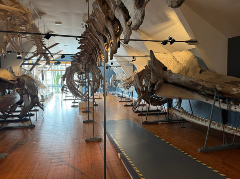 Slottsfjellsmuseet-Tonsberg必去景点