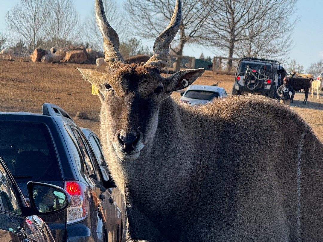 Nova Wild-维也纳必去景点