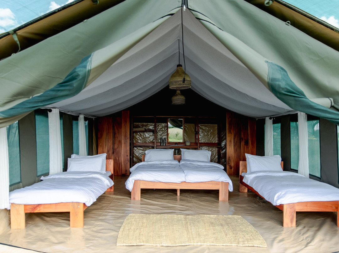 Kimbilio Serengeti Camp主图