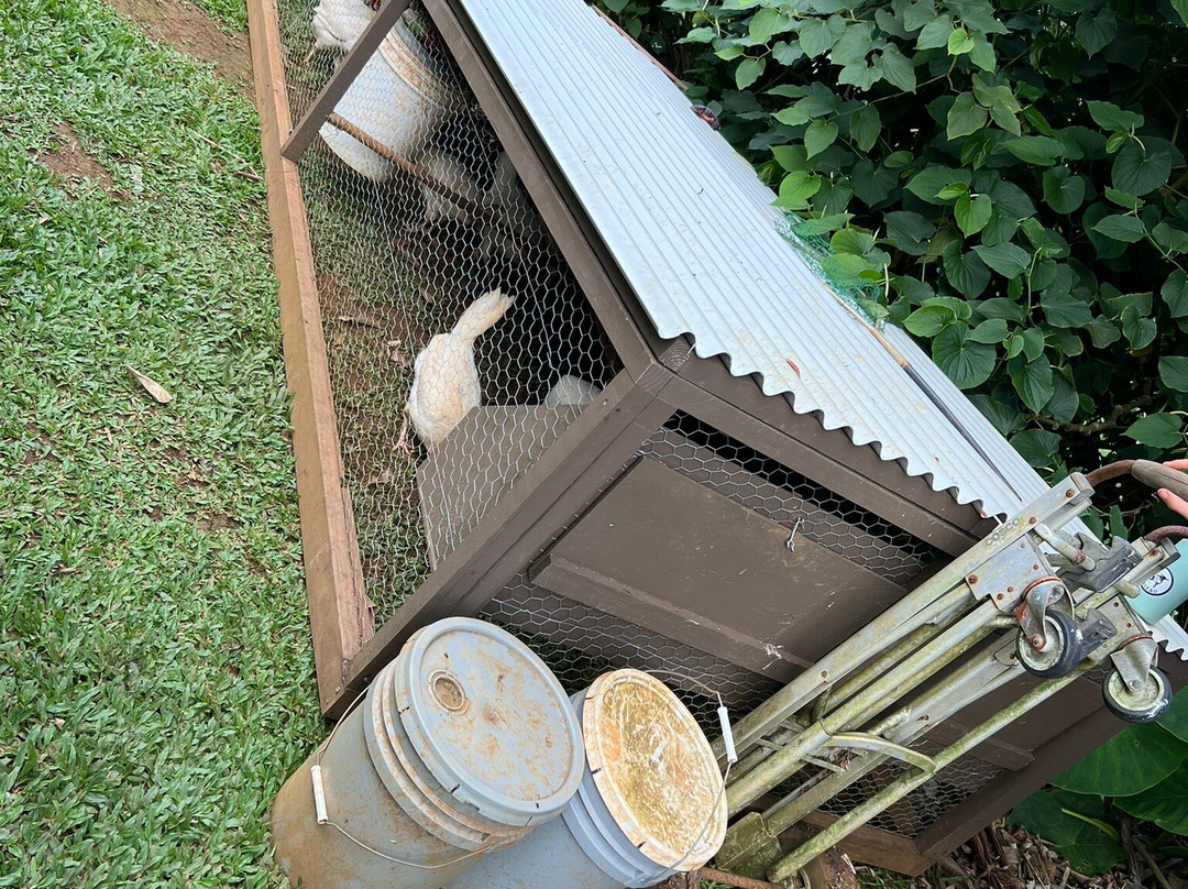 Common Ground Kauai-基拉韦厄必去景点