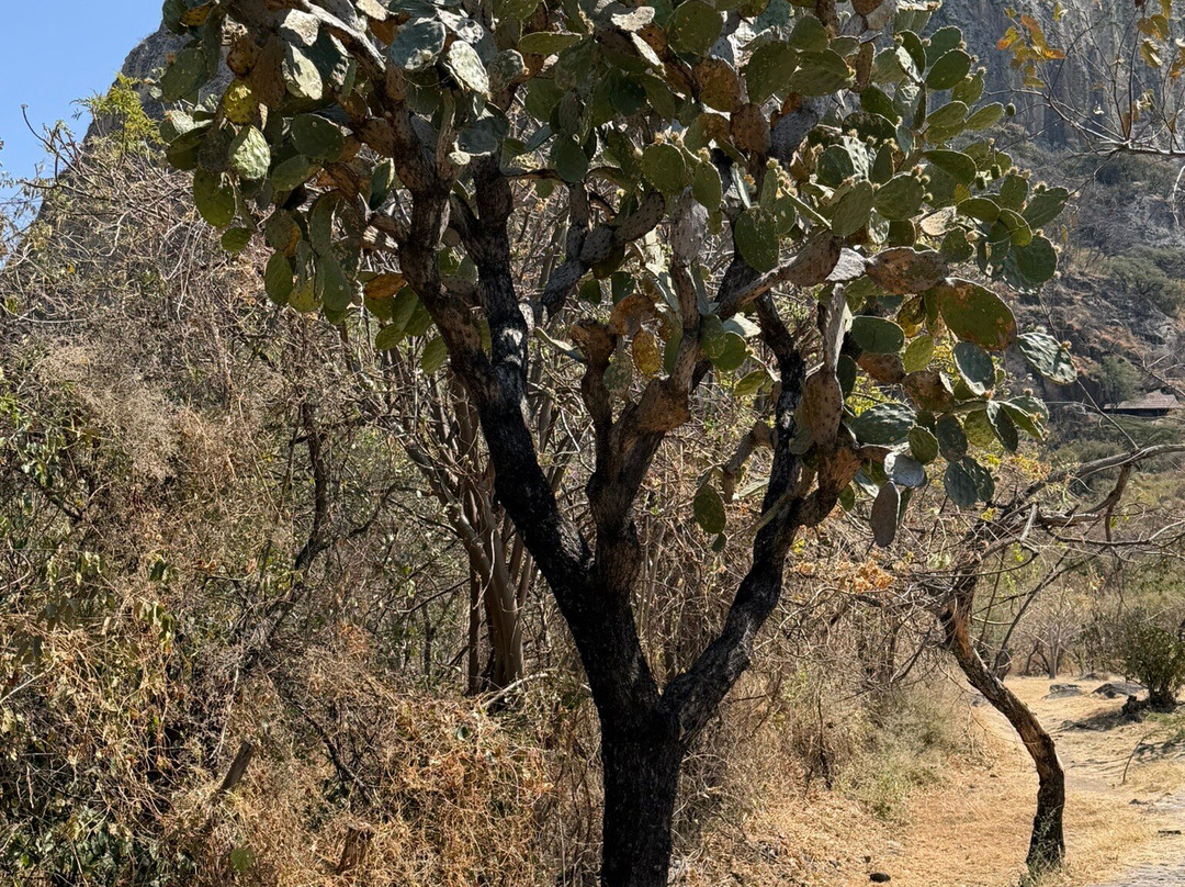Zona Arqueológica Chalcatzingo-Jantetelco必去景点