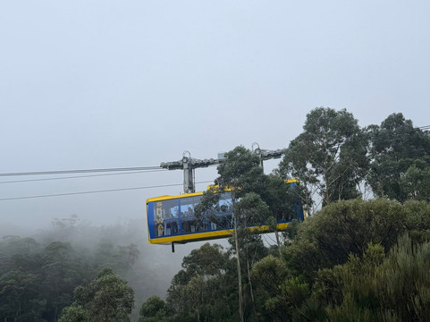Blue Mountains Tours-格兰布鲁克必去景点