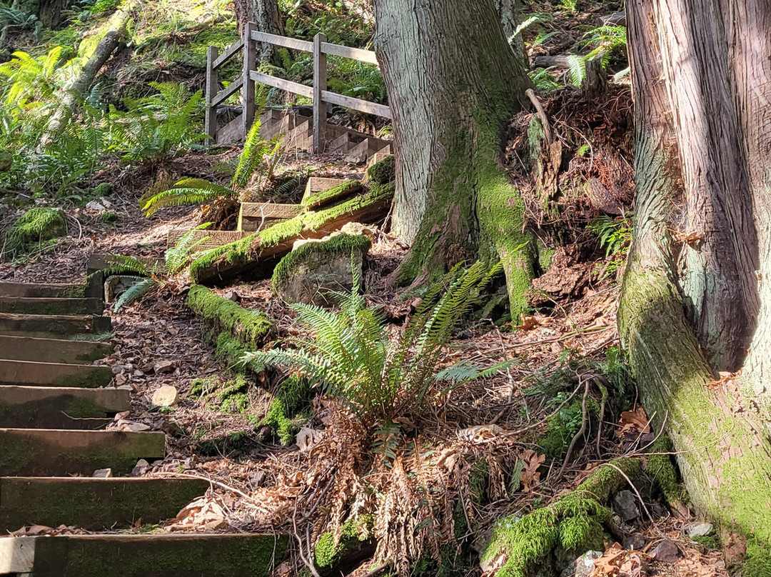 Soames Hill (aka Knob Hill)-吉布森斯必去景点