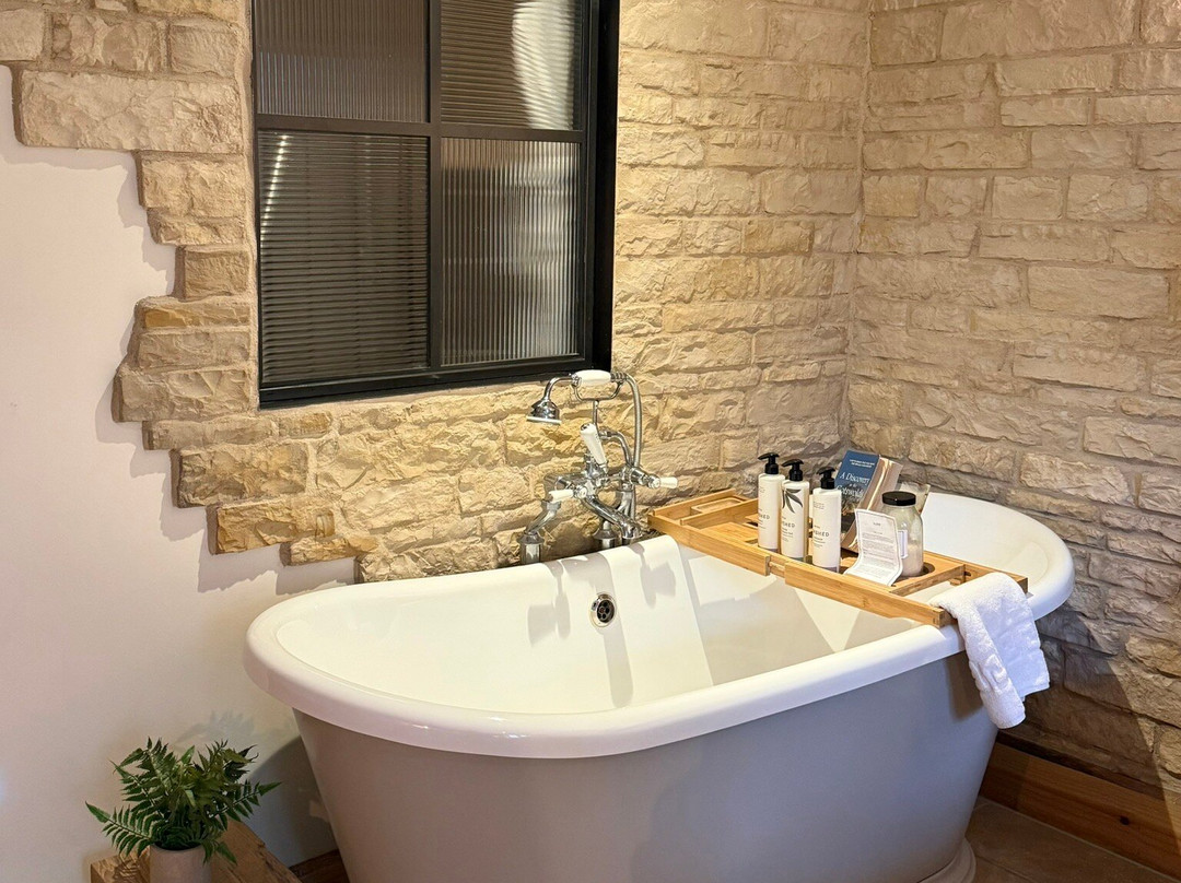 野百合与蜂蜜主图