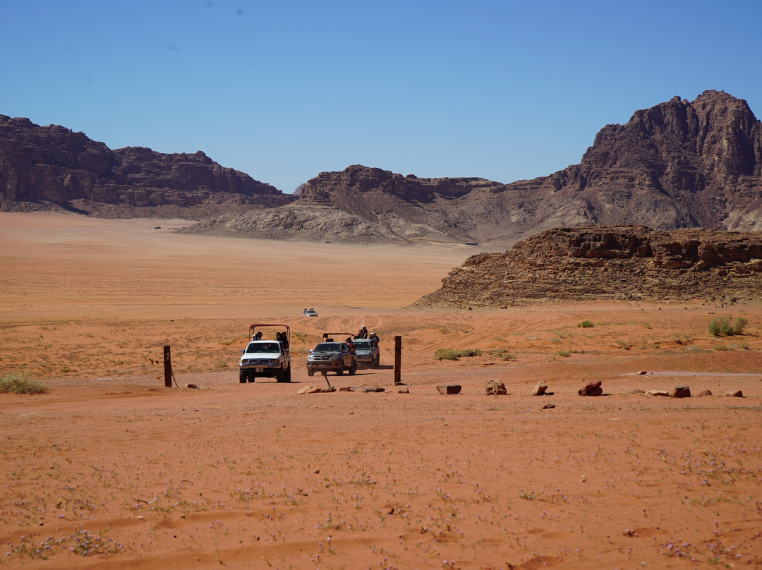 Wadi Rum Caravan Tours-Wadi Rum Village必去景点