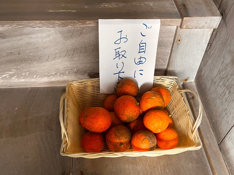 Kozanji Temple-下关市必去景点