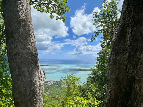 Ebony Forest Reserve-沙马雷勒必去景点