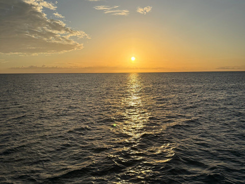 YaMon Red Stripe Catamaran Cruises-内格里尔必去景点