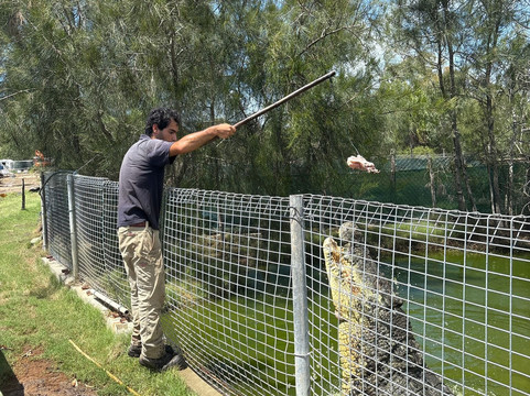 Koorana Crocodile Farm-Coowonga必去景点