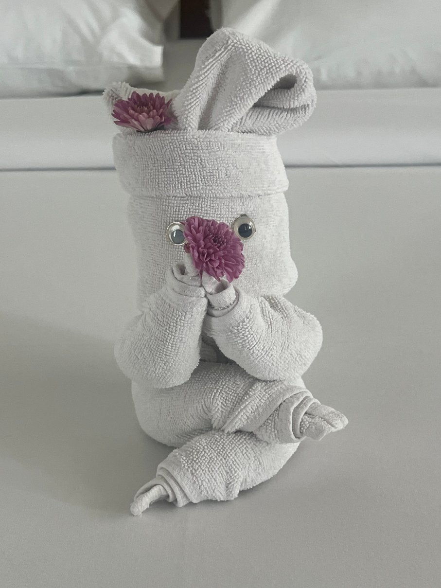 特伦图姆库塔-原-格兰德因纳库塔-官方